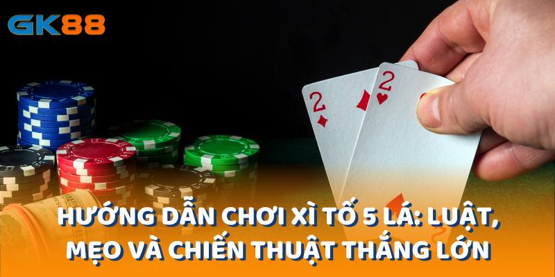 Hướng Dẫn Chơi Xì Tố 5 Lá: Luật, Mẹo Và Chiến Thuật Thắng Lớn