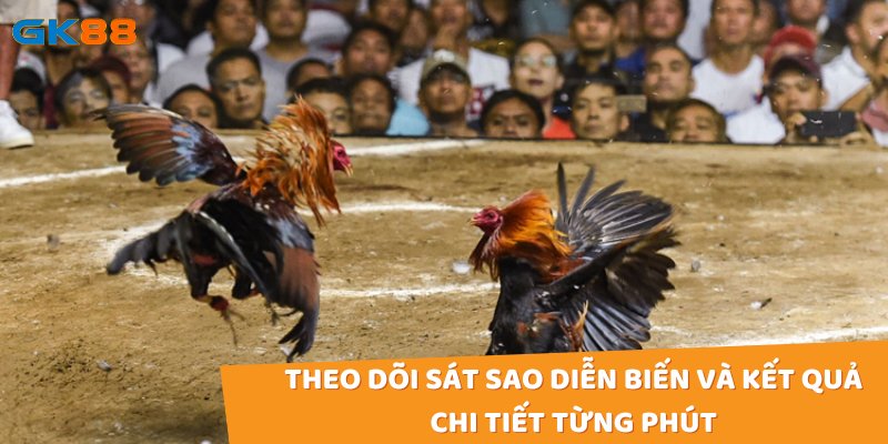 Nơi đây luôn cập nhật diễn biến và kết quả của trận đấu một cách chính xác