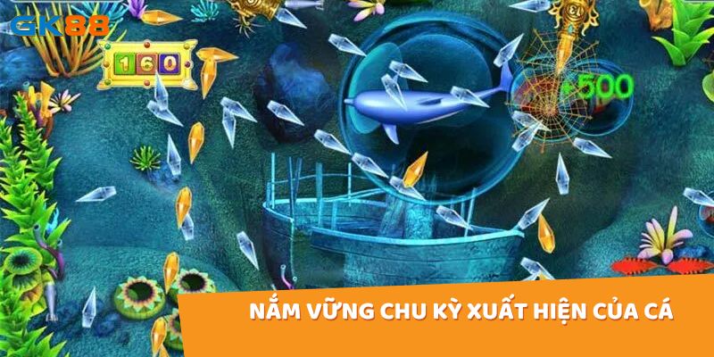 Quan sát và ghi nhớ chu kỳ này sẽ giúp người chơi dự đoán được thời điểm xuất hiện của cá