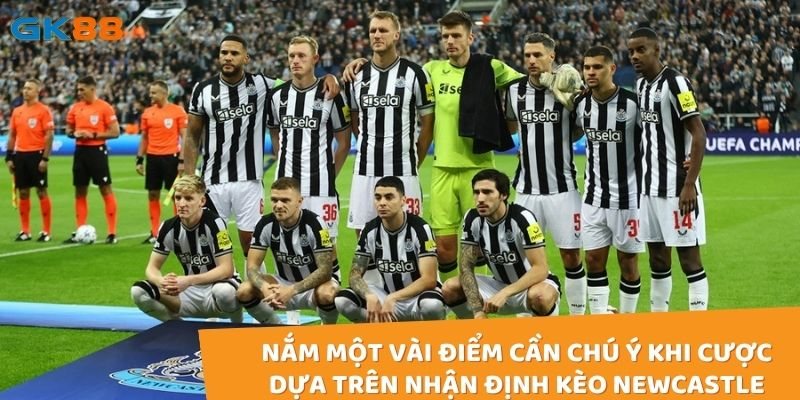 Nắm một vài điểm cần chú ý khi cược dựa trên nhận định kèo Newcastle