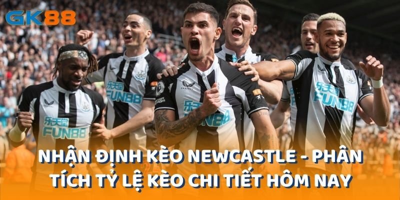 Nhận Định Kèo Newcastle - Phân Tích Tỷ Lệ Kèo Chi Tiết Hôm Nay