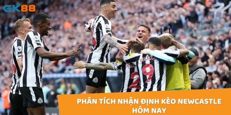 Phân tích nhận định kèo Newcastle hôm nay